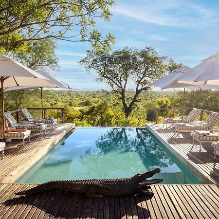 Simbavati Hilltop Lodge Timbavati Game Reserve Εξωτερικό φωτογραφία