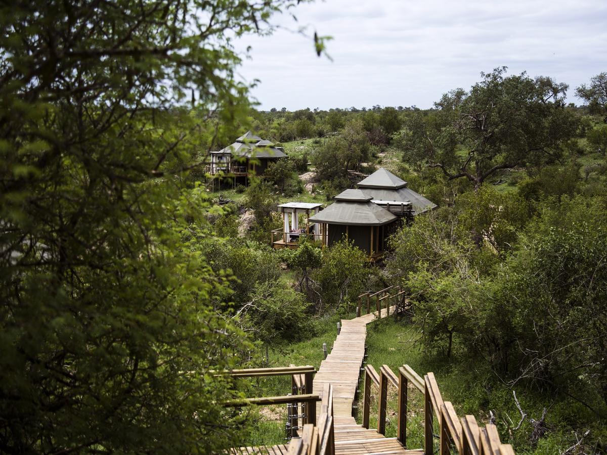 Simbavati Hilltop Lodge Timbavati Game Reserve Εξωτερικό φωτογραφία