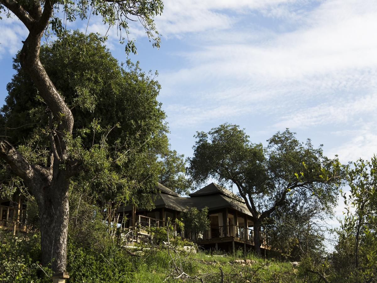 Simbavati Hilltop Lodge Timbavati Game Reserve Εξωτερικό φωτογραφία