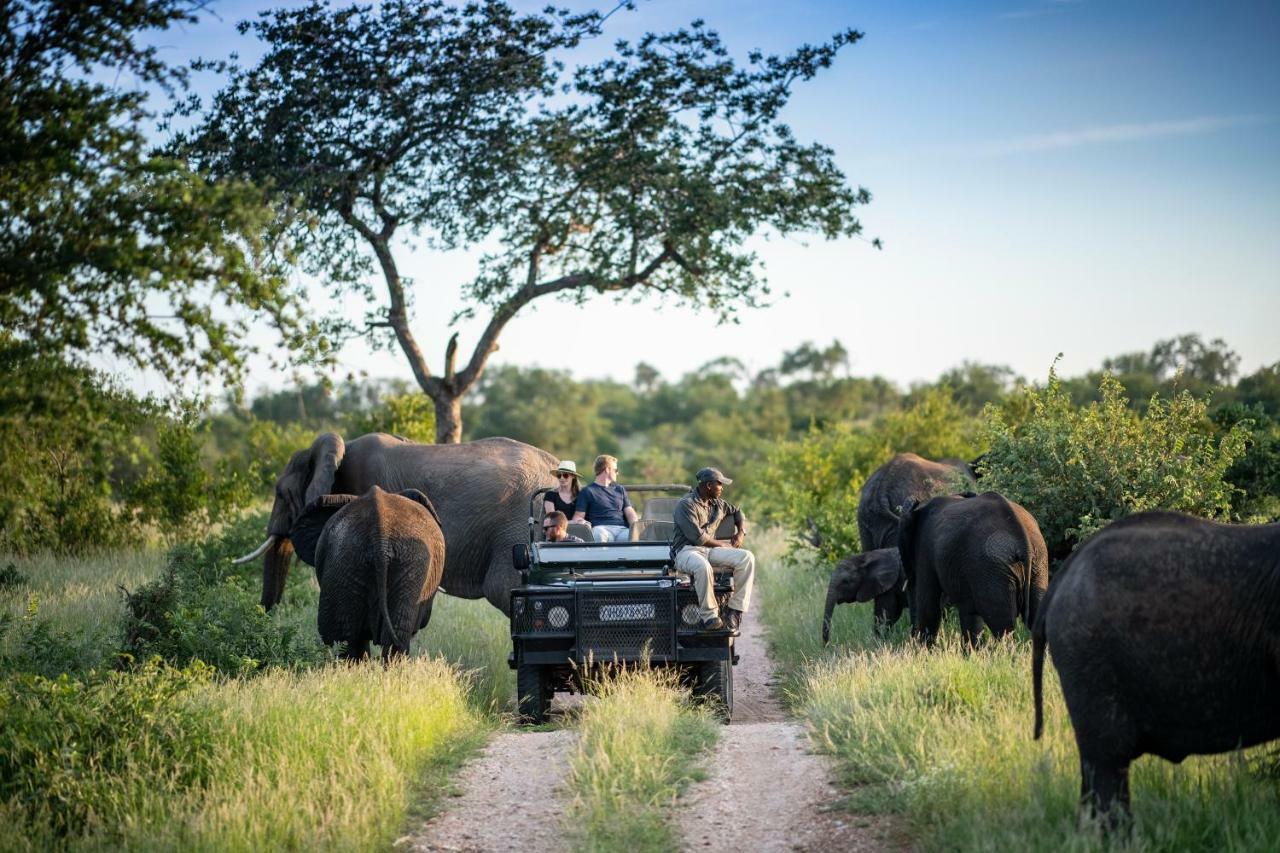 Simbavati Hilltop Lodge Timbavati Game Reserve Εξωτερικό φωτογραφία