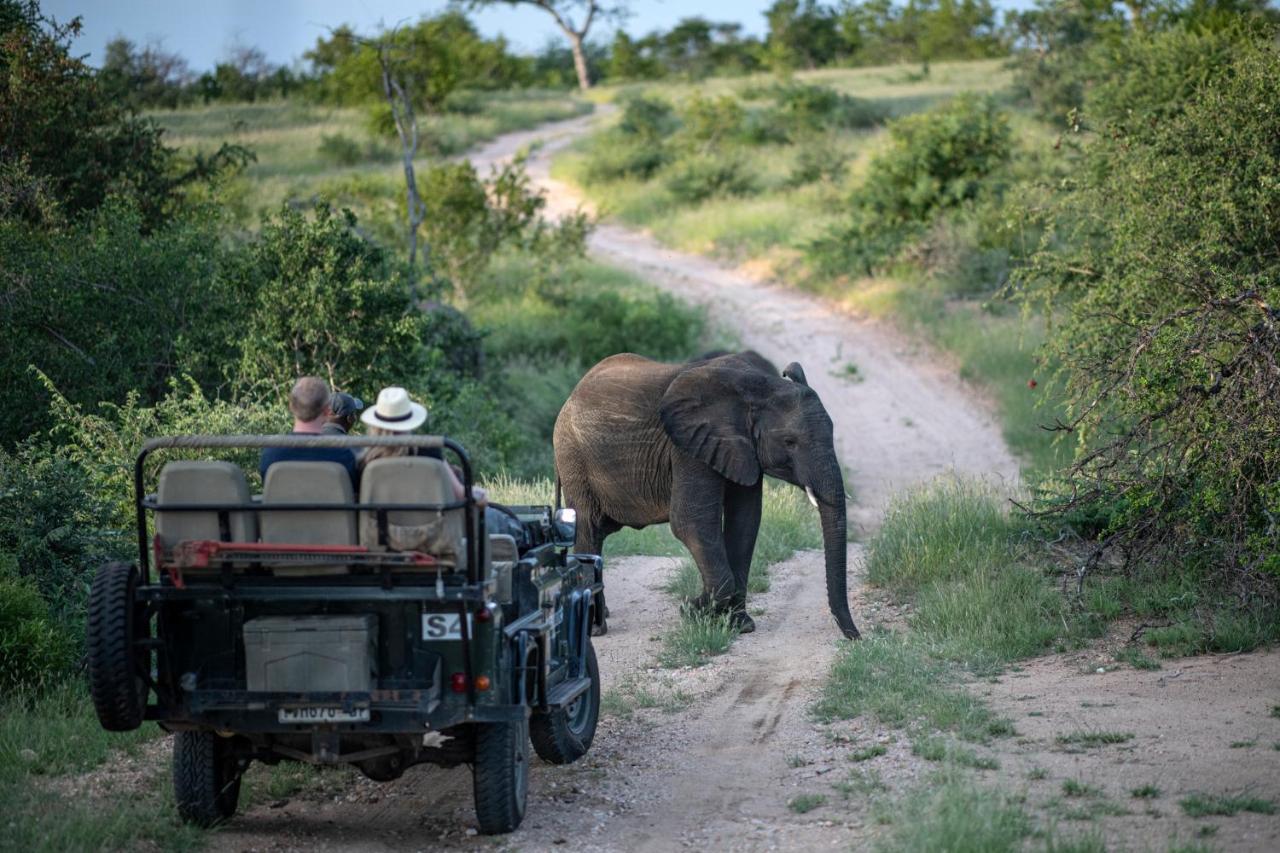 Simbavati Hilltop Lodge Timbavati Game Reserve Εξωτερικό φωτογραφία